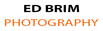 Ed Brim Photography - Headshot and Sports Photography